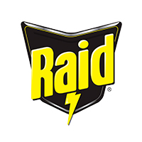 Raid